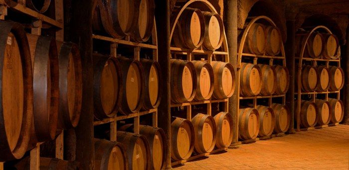 Photo of Into the Best Wine Tours of India:Let’s Swirl, Sniff and Sip! 23/31 by TippytoeTraveltales