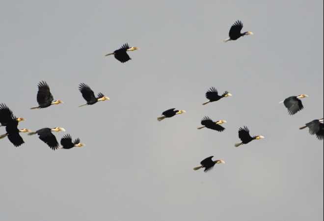 Photo of Let’s Spot Migratory Birding Destinations in India! 9/9 by TippytoeTraveltales