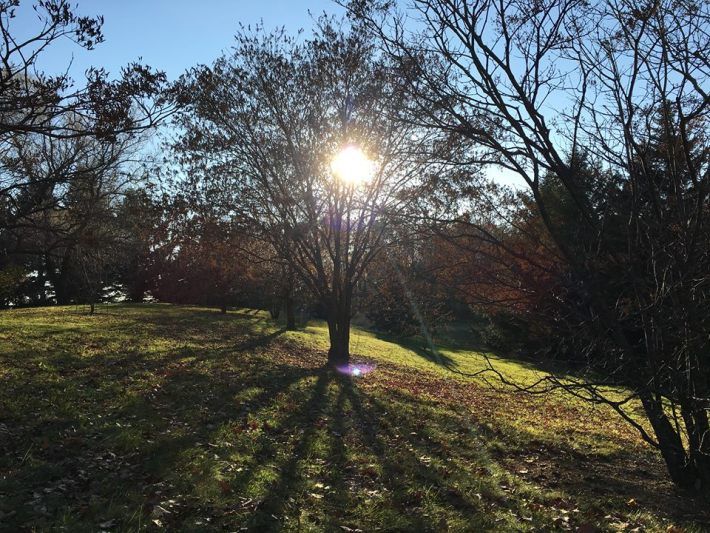 Photo of 2015 – As I look back by Karishma