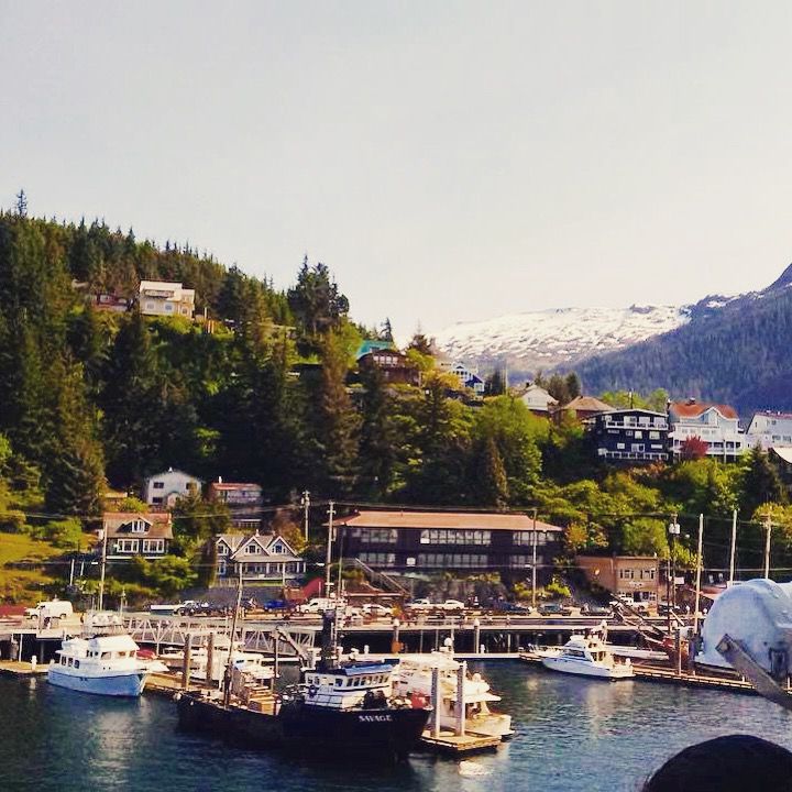 Photo of The Bucket List Trip: Iconic Alaska Cruise 2/4 by Nawab Dilaweez Hasan