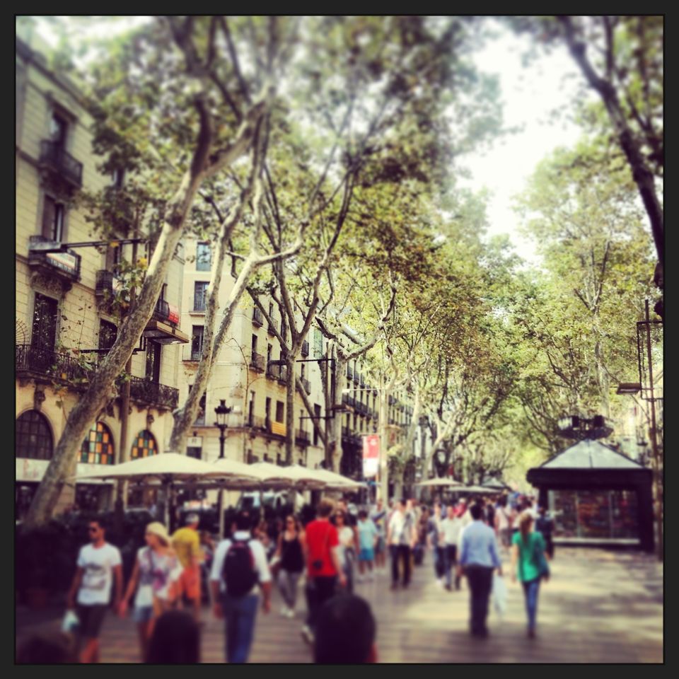 Photo of Barcelona: Must See Places in a Day! 5/8 by Nawab Dilaweez Hasan