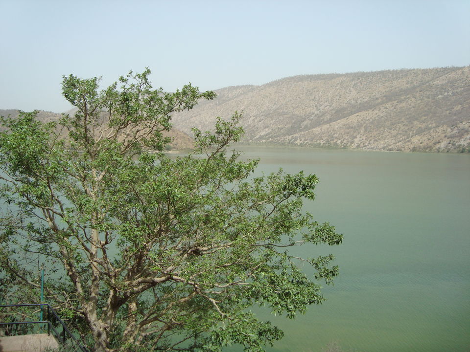 Photo of Sariska Tiger Wildlife Reserve...Lake Siliserh and a few crazy friends! 2/3 by Nawab Dilaweez Hasan