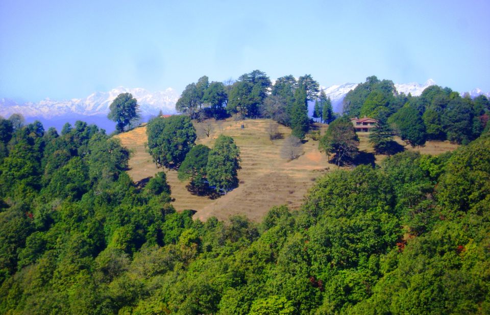 Photo of Valley of the Gods: Binsar 4/5 by Nawab Dilaweez Hasan