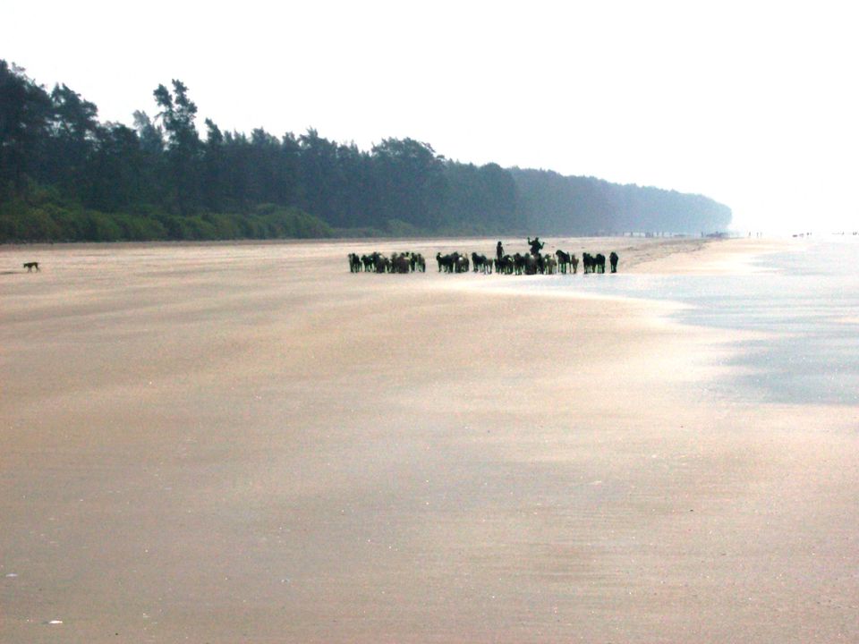 Photo of Lost in Nagaon Beach via Alibaug! 3/4 by Nawab Dilaweez Hasan