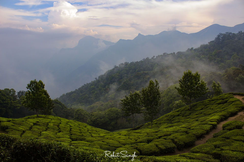 Photo of Weekend trip to God's own Country || Munnar from Bangalore by Rohit Singh