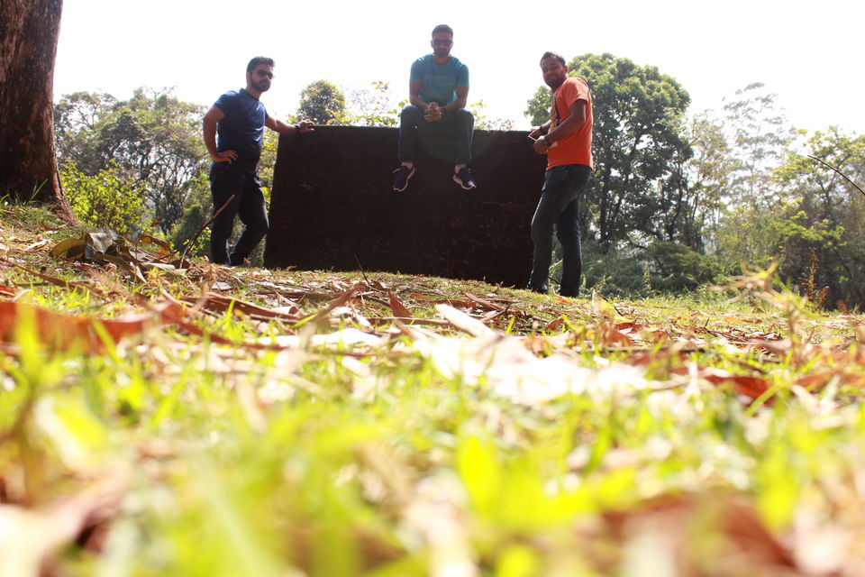 Photo of Weekend trip to God's own Country || Munnar from Bangalore 7/9 by Rohit Singh