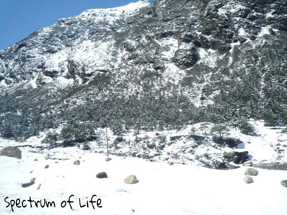 Photo of Sela Pass by Niharika Baruah