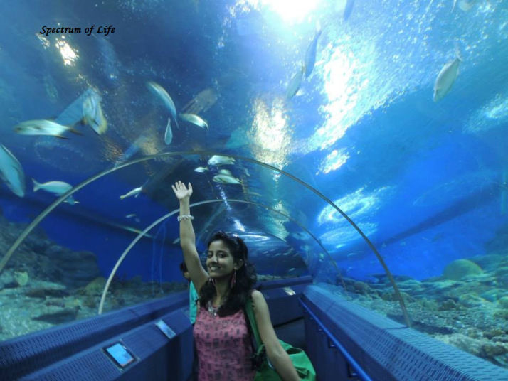 Photo of Pattaya Beckons 1/5 by Niharika Baruah