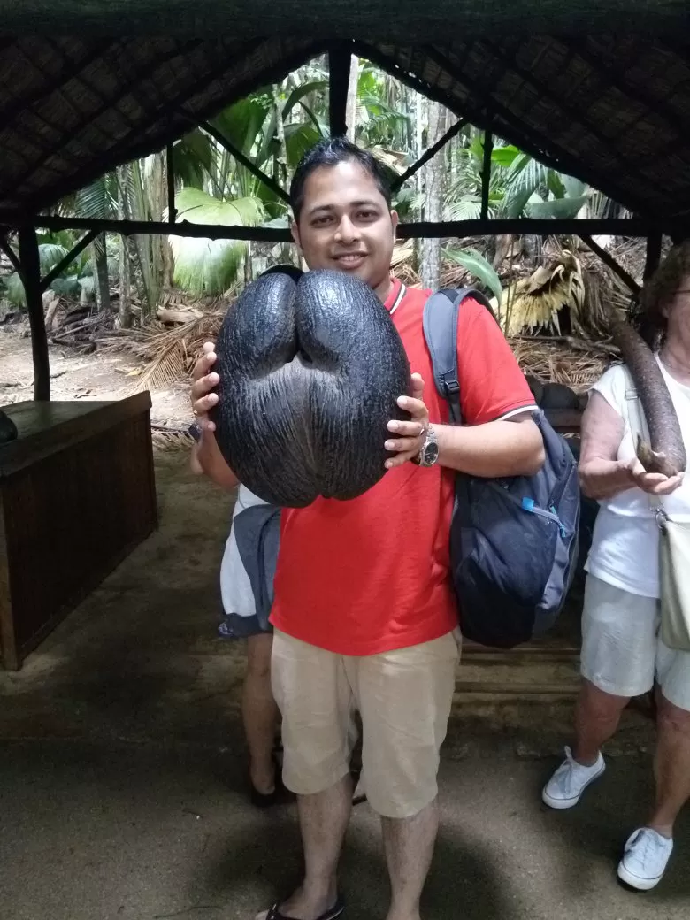 Photo of Valle de Mai, Praslin Seychelles, Seychelles by Niharika Baruah