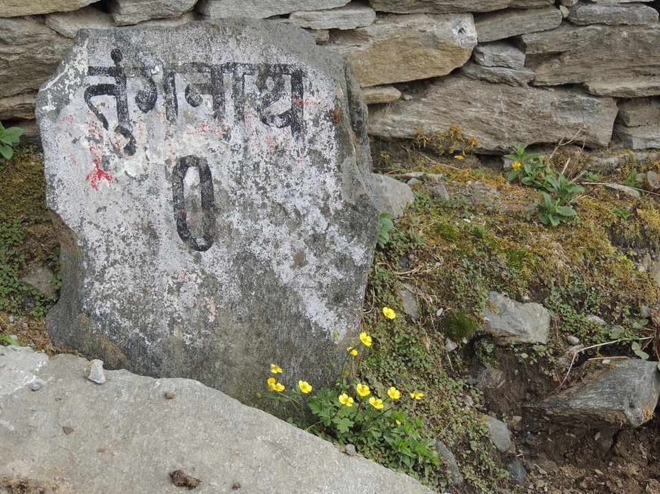 Photo of Chopta: Mini Switzerland 18/18 by Niharika Baruah
