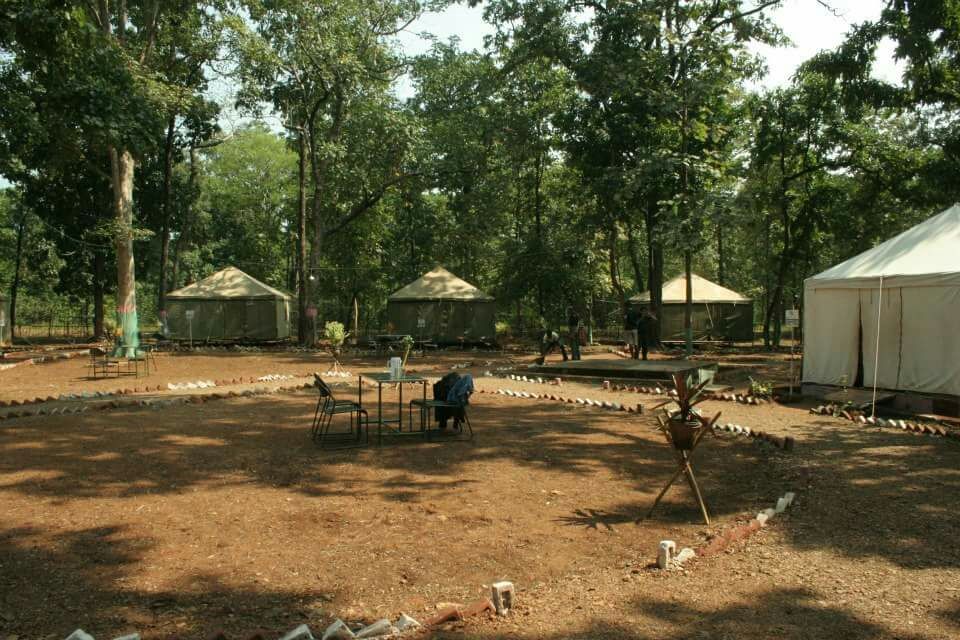 Photo of The Nagzira Memories by Zaheer Abdul