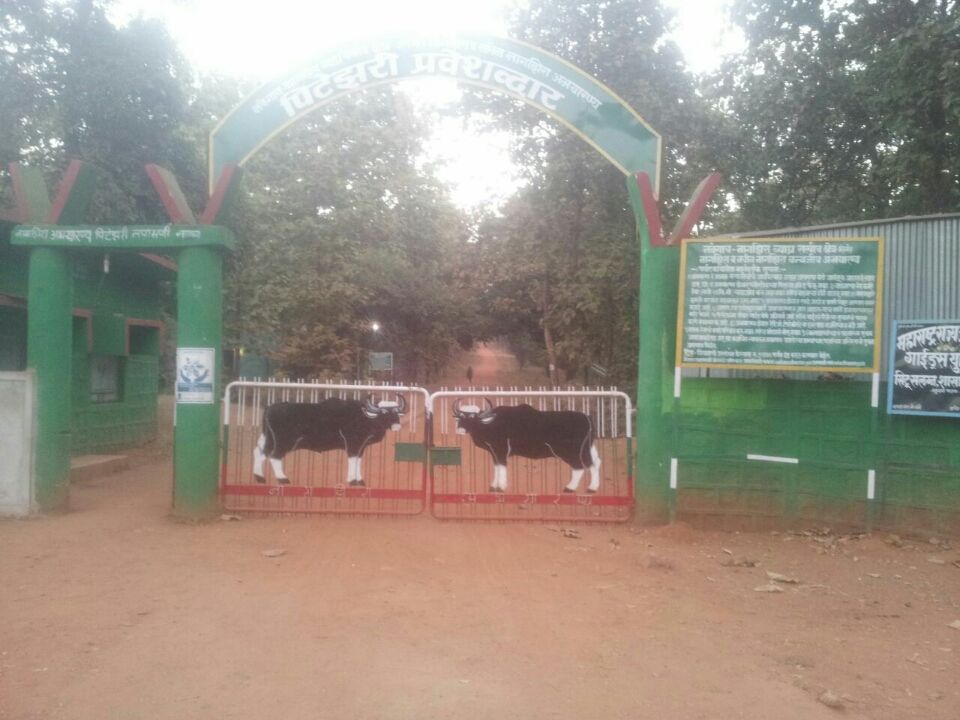 Photo of The Nagzira Memories by Zaheer Abdul