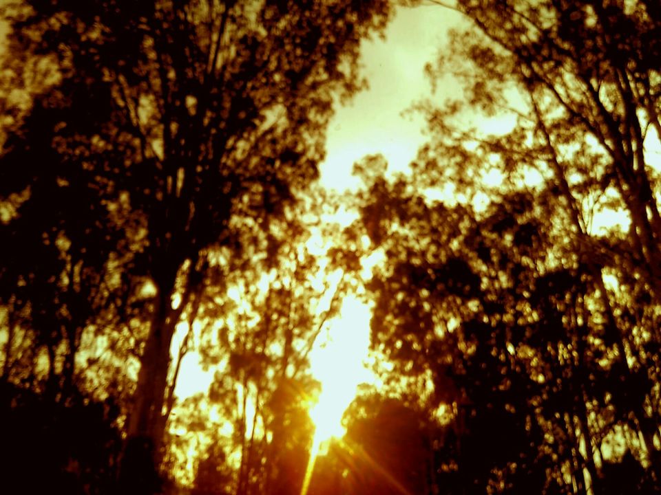 Photo of Nandi Hills - Unexpected Drive on a Sunday 2/12 by Natasha SK