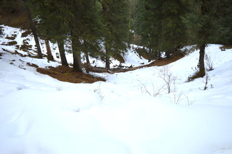 Photo of Chakrata: An unplanned journey to a Paradise 1/4 by Vineet Kaur