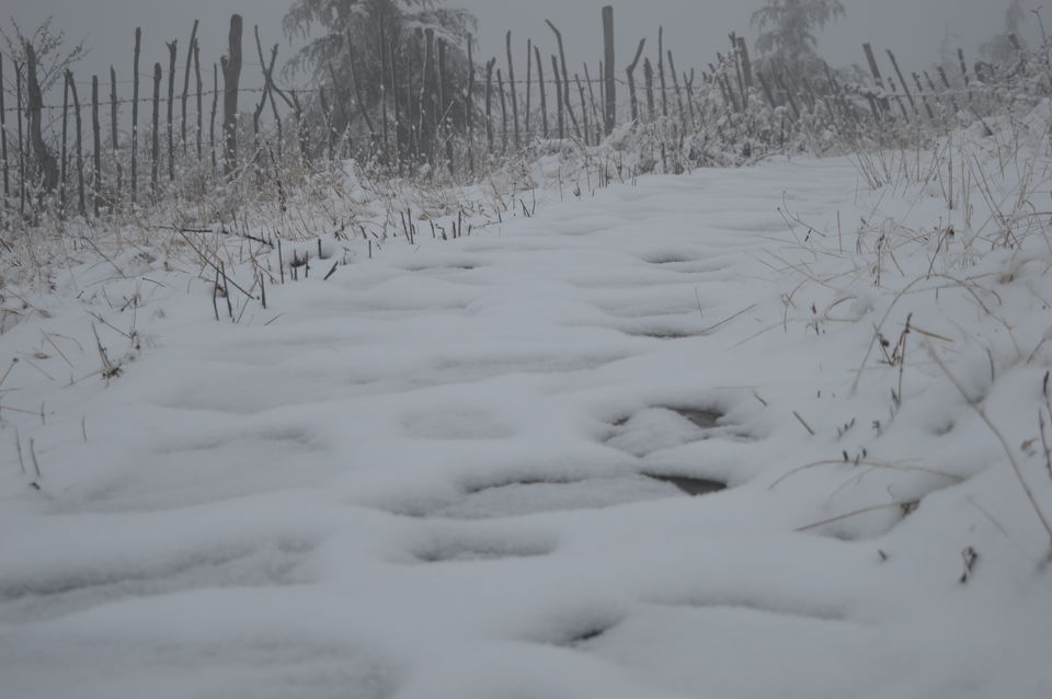 Photo of Chakrata: An unplanned journey to a Paradise 3/4 by Vineet Kaur