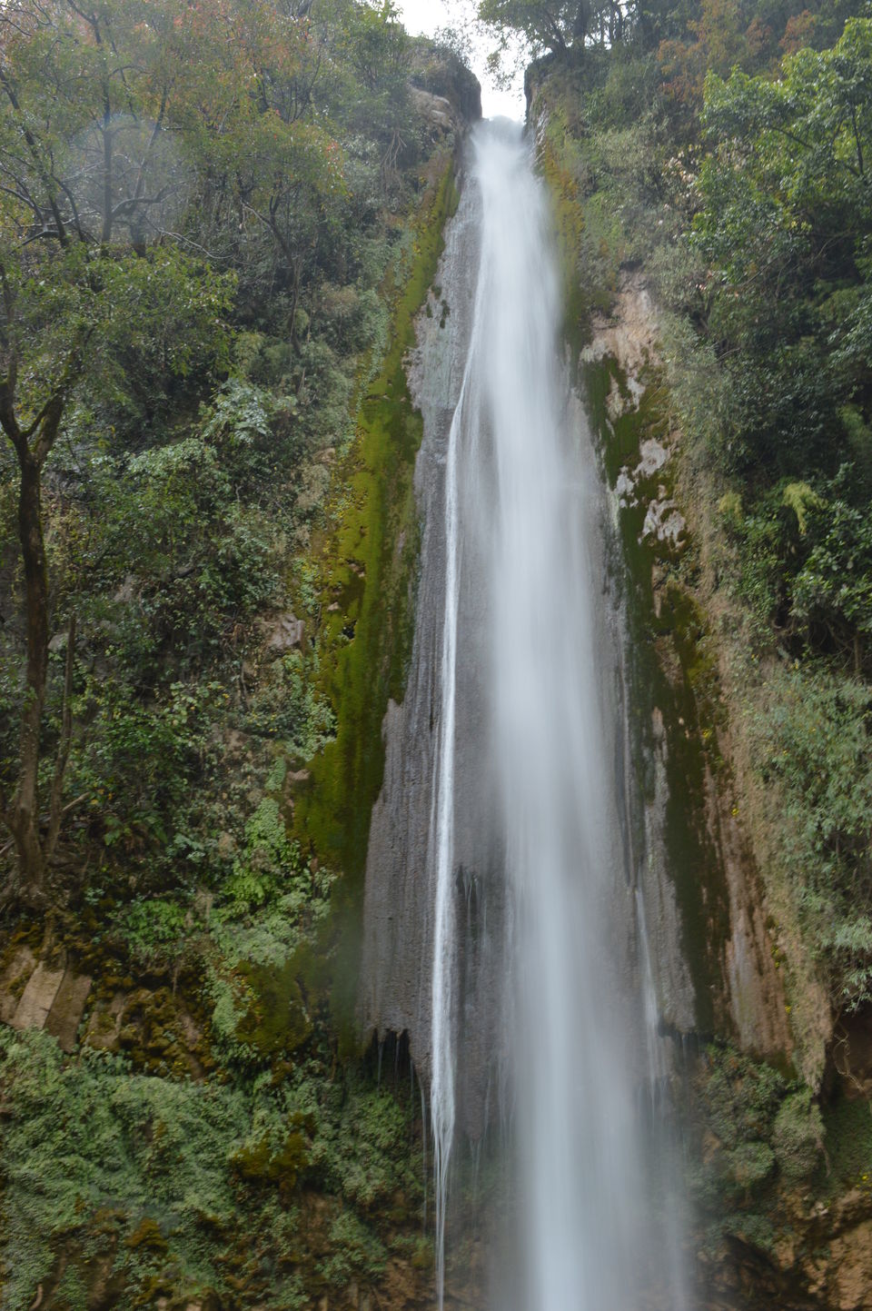 Photo of Chakrata: An unplanned journey to a Paradise 4/4 by Vineet Kaur