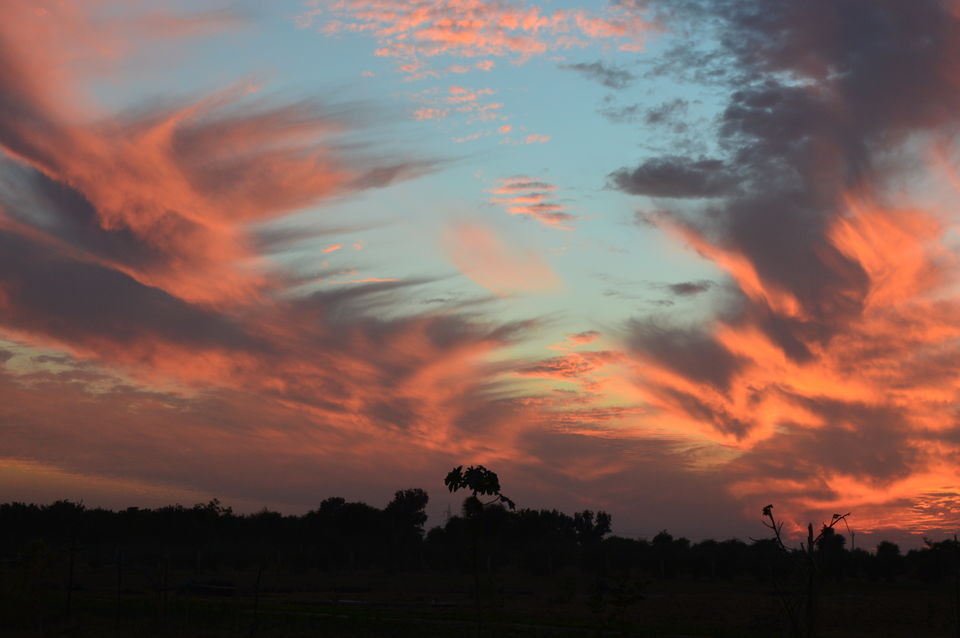 Photo of Jaisalmer: A Trip to City of Sand 1/11 by Vineet Kaur
