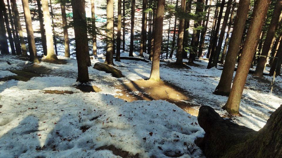 Photo of Manali Diary: Solo is no more surreal 3/6 by Vineet Kaur