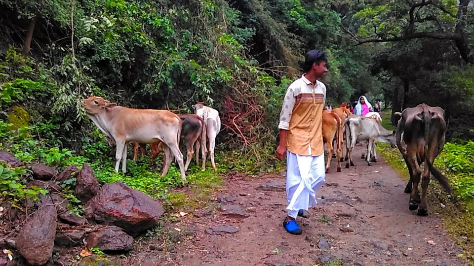 Photo of Coimbatore to Siruvani Falls by Sakshi Agarwal