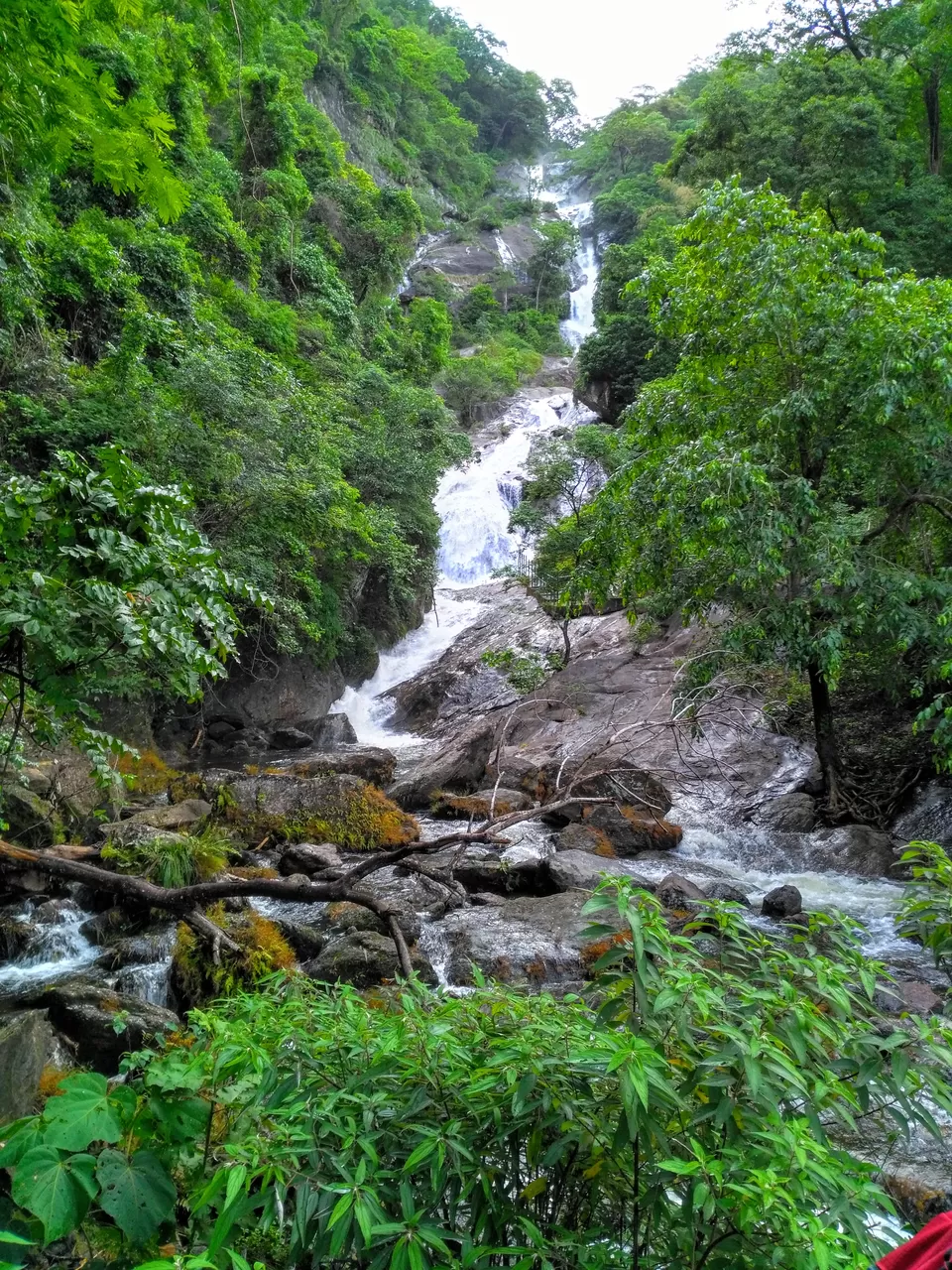 Photo of Coimbatore to Siruvani Falls by Sakshi Agarwal