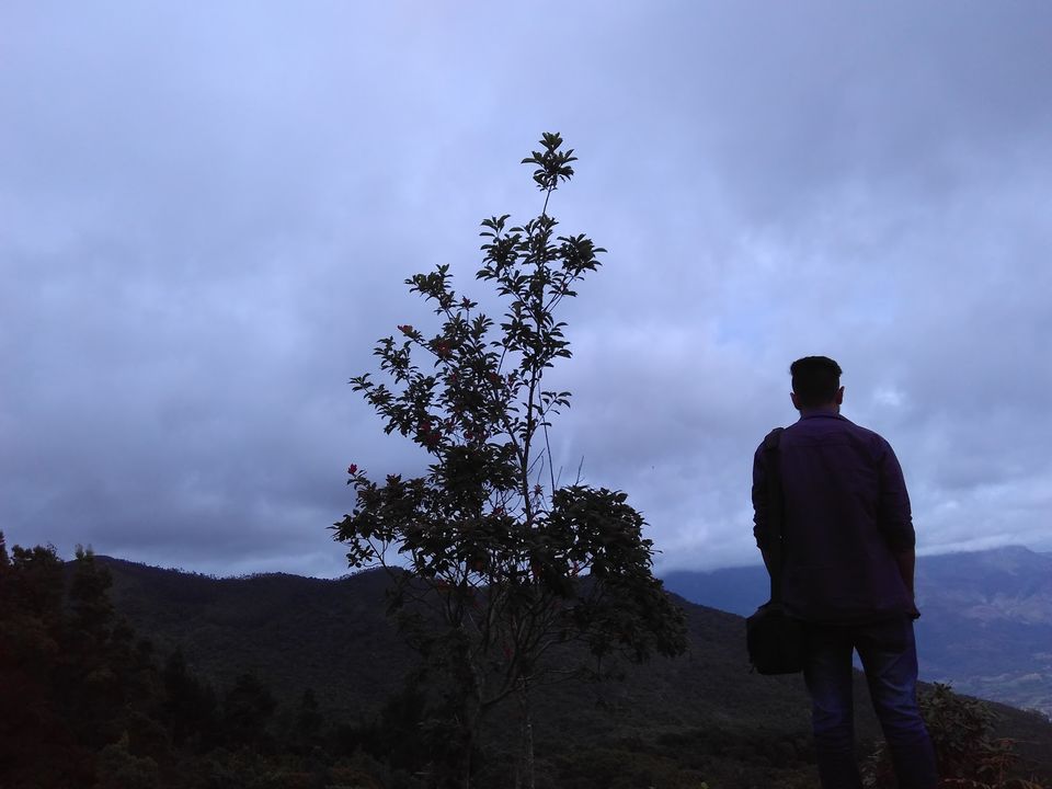 Photo of Kanthaloor- A journey into forests and tribes of Kerala by Sakshi Agarwal