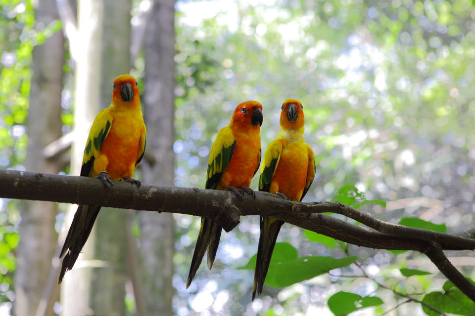 Photo of A family holiday in Kuala Lumpur 3/5 by TraveasyUK
