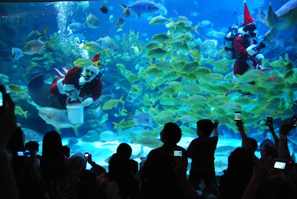 Photo of A family holiday in Kuala Lumpur 4/5 by TraveasyUK