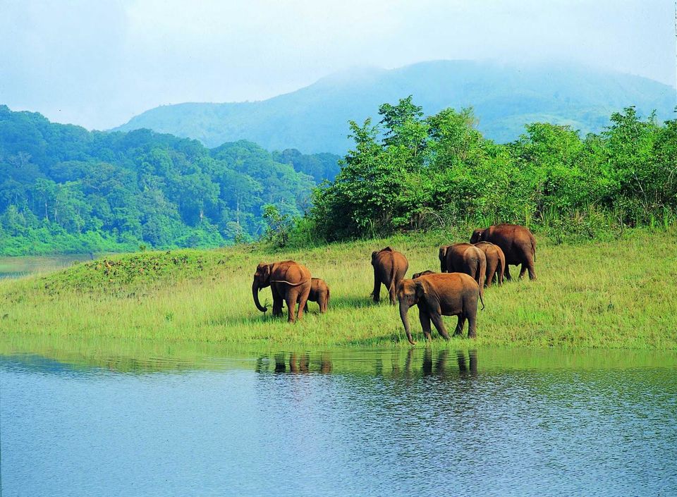 Photo of Goa’s Fascinating Attractions beyond its Beaches 2/4 by TraveasyUK