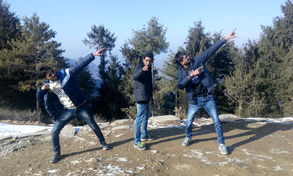 Photo of The Himalayan Beauty by Lalit Bindal