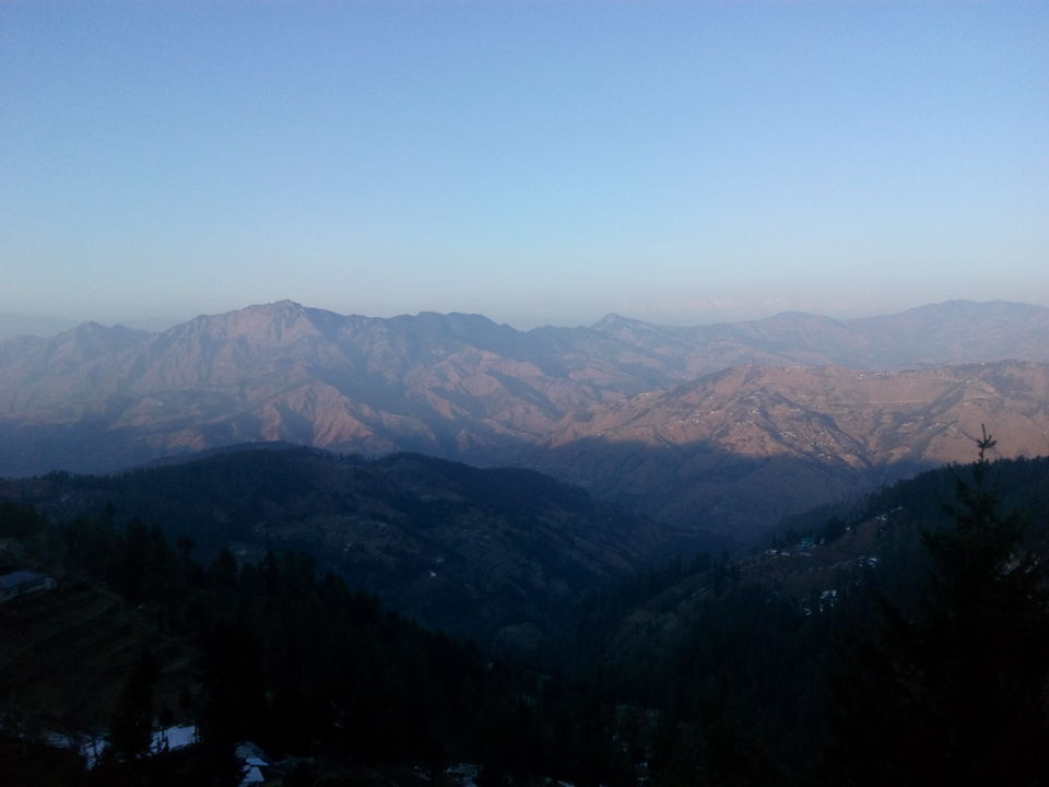 Photo of The Himalayan Beauty by Lalit Bindal