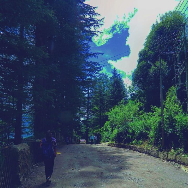 Photo of Manali: Our Little 'Dil Chahta Hai' by Natasha George
