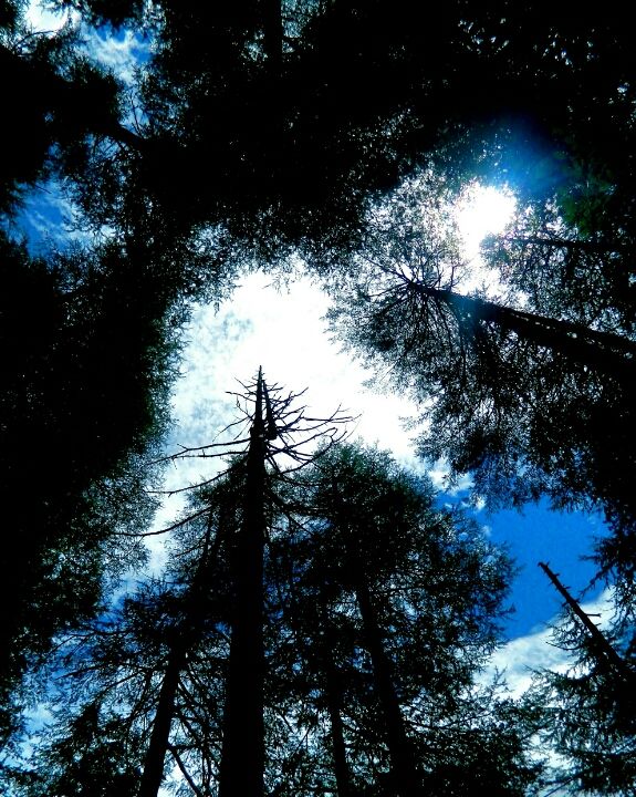 Photo of Manali: Our Little 'Dil Chahta Hai' by Natasha George