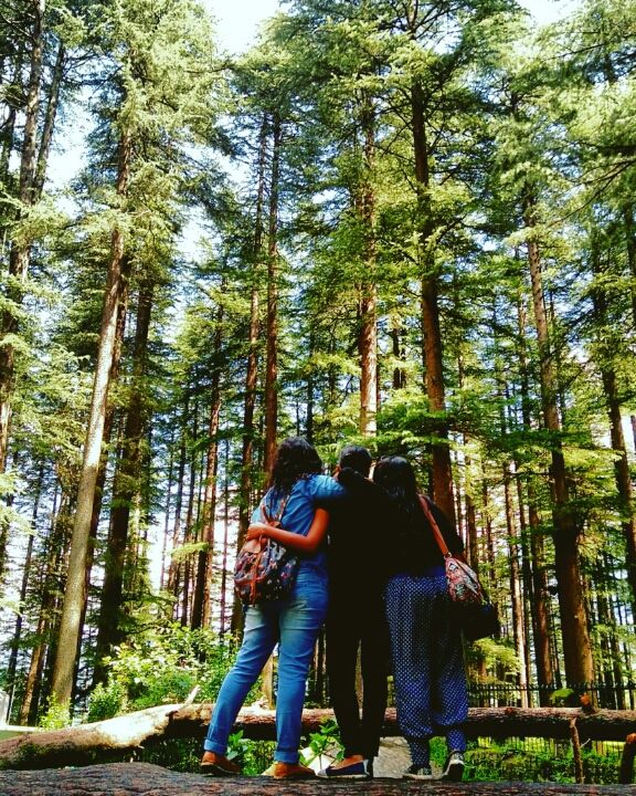 Photo of Manali: Our Little 'Dil Chahta Hai' by Natasha George