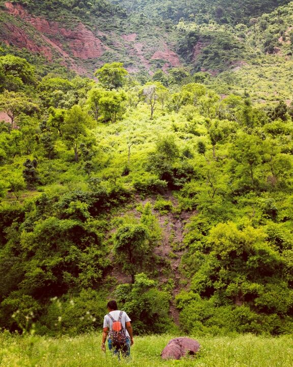 Photo of Nahan: Friends, Roadtrip and Coldplay by Natasha George