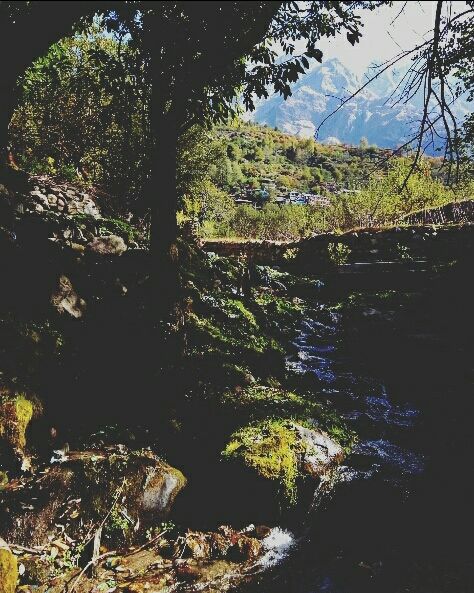 Photo of Chitkul : A Peaceful Hamlet by Natasha George