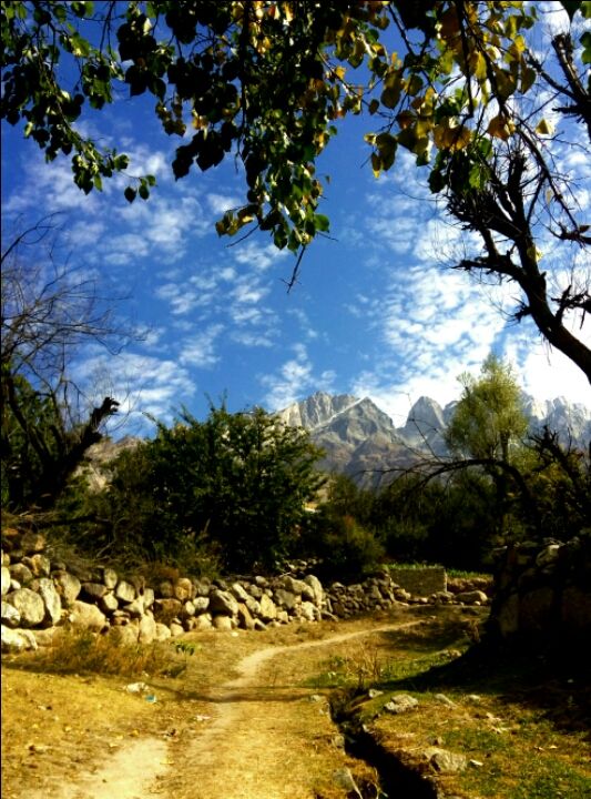 Photo of Chitkul : A Peaceful Hamlet by Natasha George