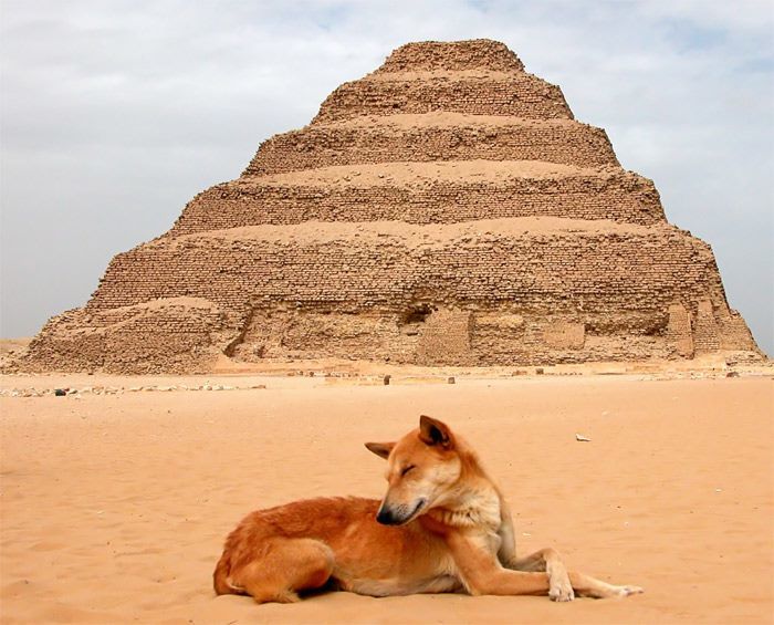 Photo of Cairo: Full-day Pyramids tour 6/7 by Ereen Yousef