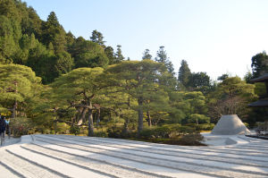 Photo of 7 days in Japan by Namrata Suri