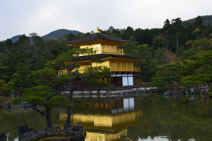 Photo of 7 days in Japan by Namrata Suri