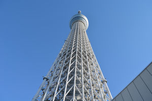 Photo of 7 days in Japan by Namrata Suri