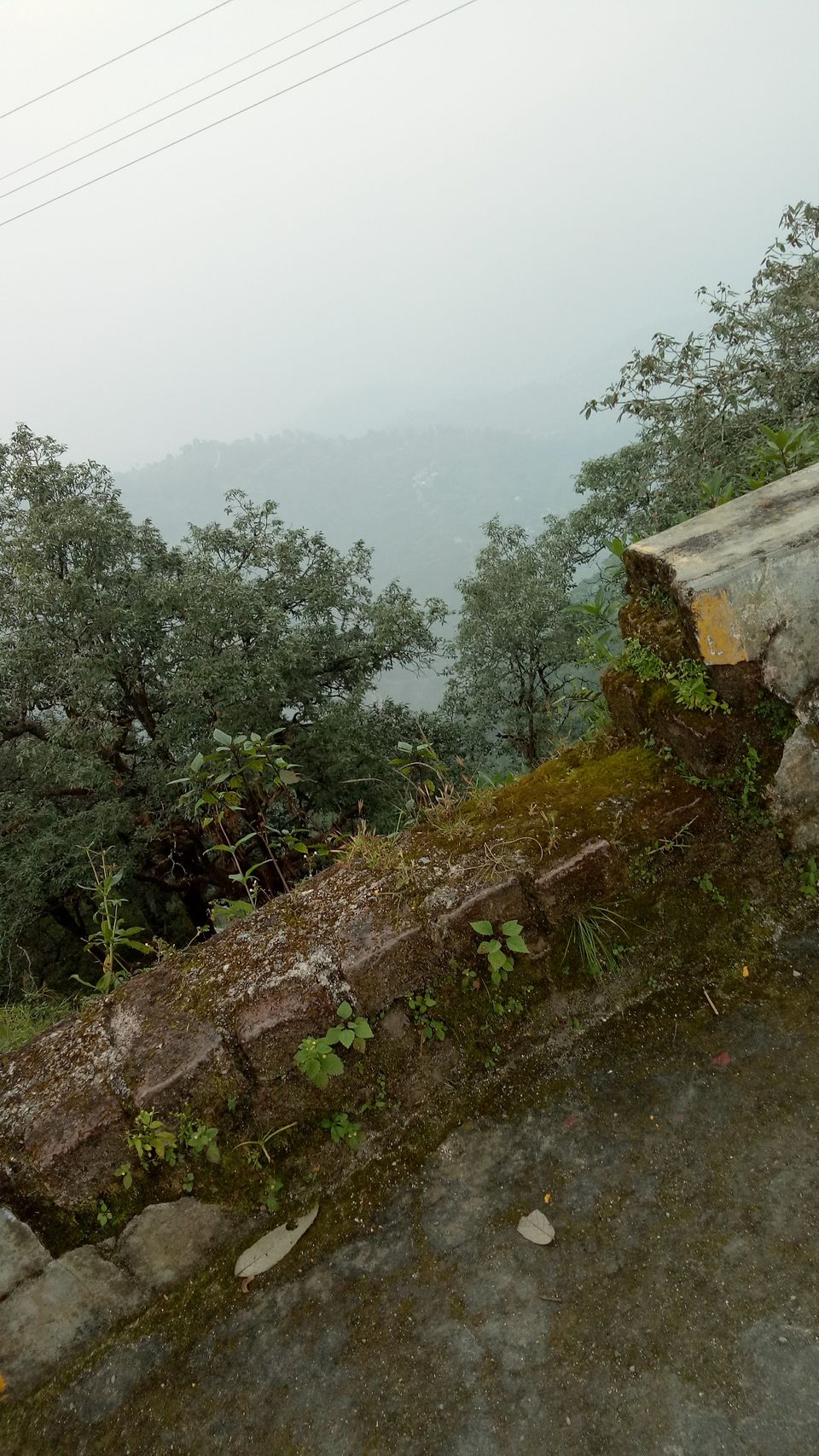 Photo of Paradise the Landsdown 9/9 by Raman Preet Singh Khurana