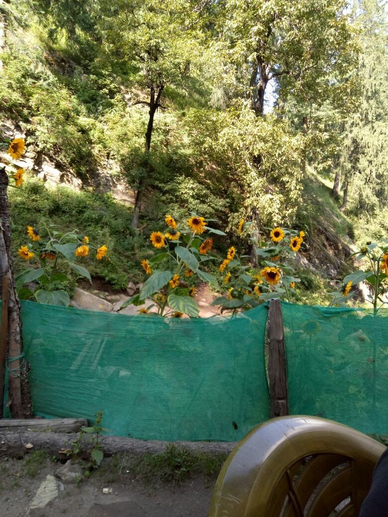 Photo of Kasol Diaries 3/25 by Raman Preet Singh Khurana