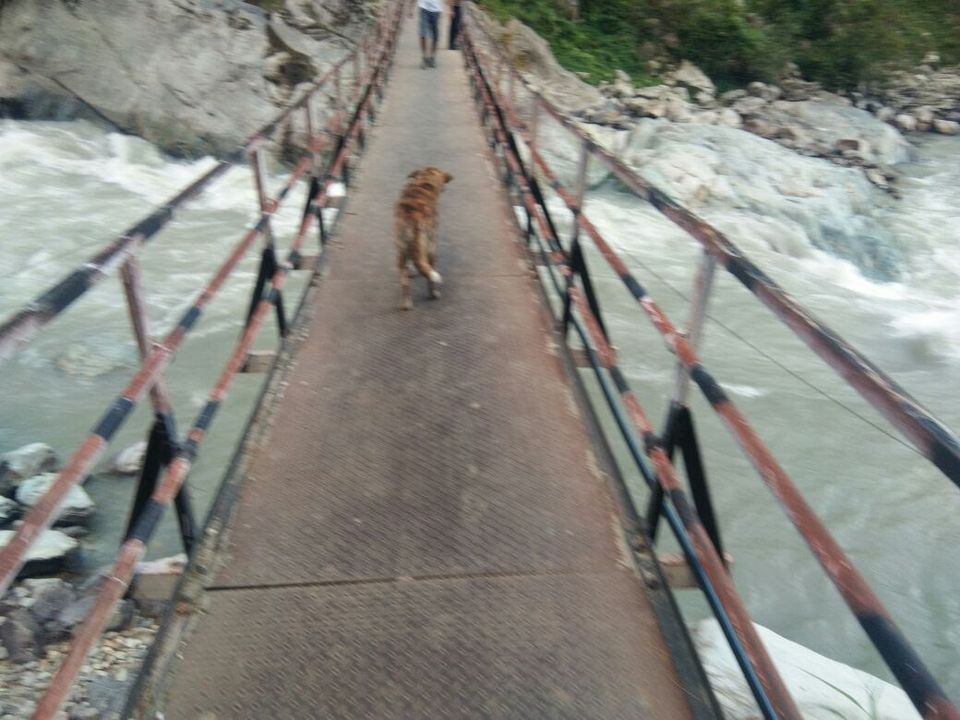 Photo of Kasol Diaries 21/25 by Raman Preet Singh Khurana