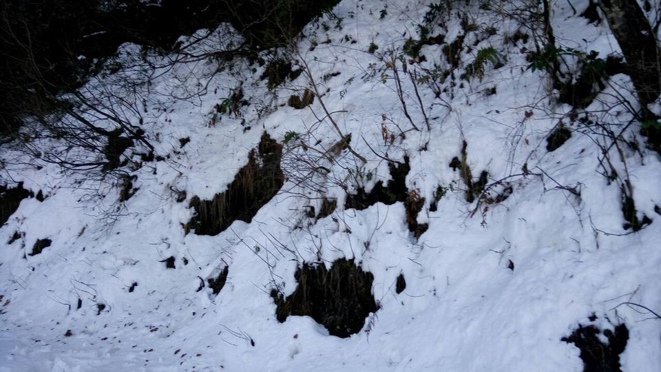 Photo of Snowy ride to Dhanaulti 16/33 by Raman Preet Singh Khurana