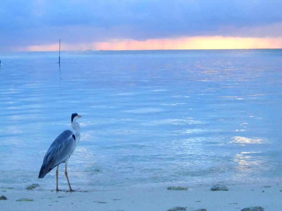 Photo of Maldives: Rains In Paradise 4/5 by Ayan