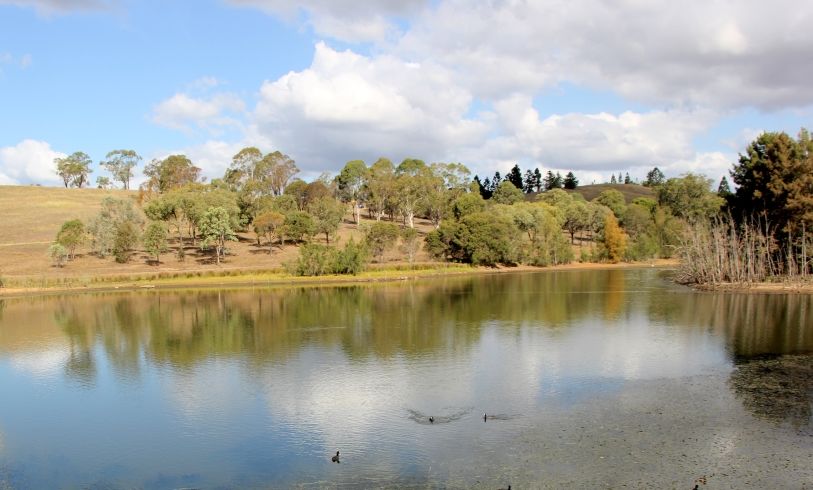 Photo of The Australian Botanic Garden, Mount Annan NSW, Australia by Ayan