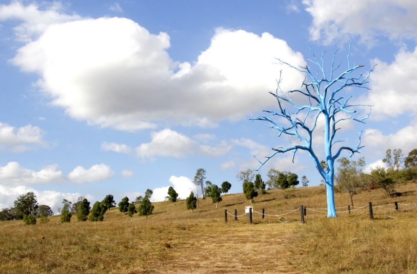 Photo of The Australian Botanic Garden, Mount Annan NSW, Australia by Ayan