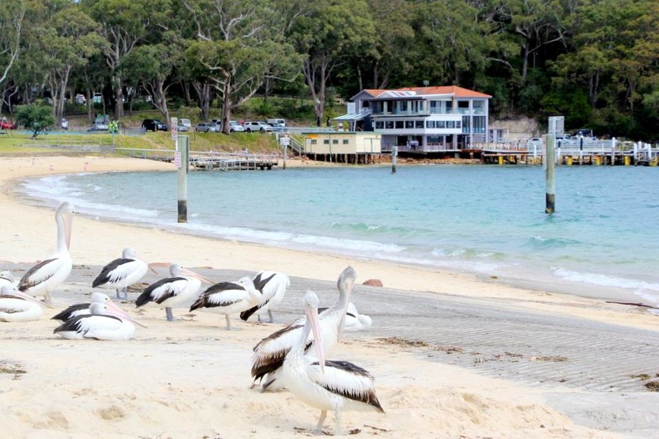 Photo of Port Stephens Visitor Information Centre, Victoria Parade, Nelson Bay NSW, Australia by Ayan