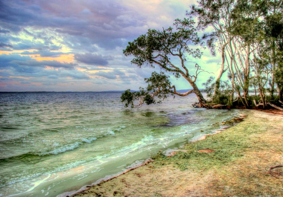 Photo of Myall Lakes National Park, Mungo Brush NSW, Australia by Ayan