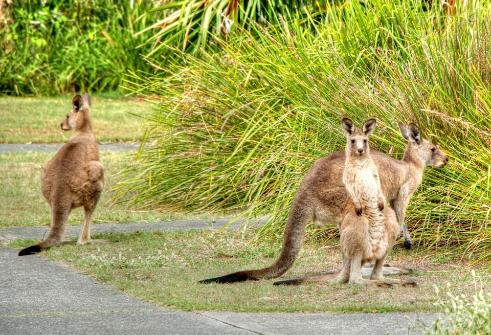 Photo of Myall Lakes National Park, Mungo Brush NSW, Australia by Ayan